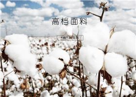 焦点娱乐品牌短袖T恤使用的面料