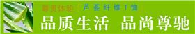 焦点娱乐休闲T恤特点
