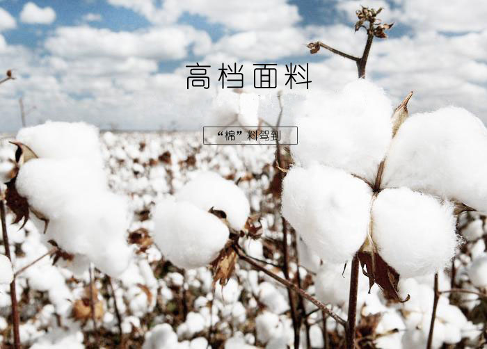 焦点娱乐休闲T恤使用的面料
